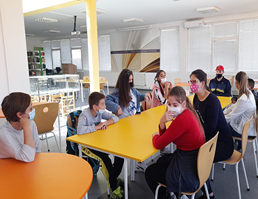 Biblioteka